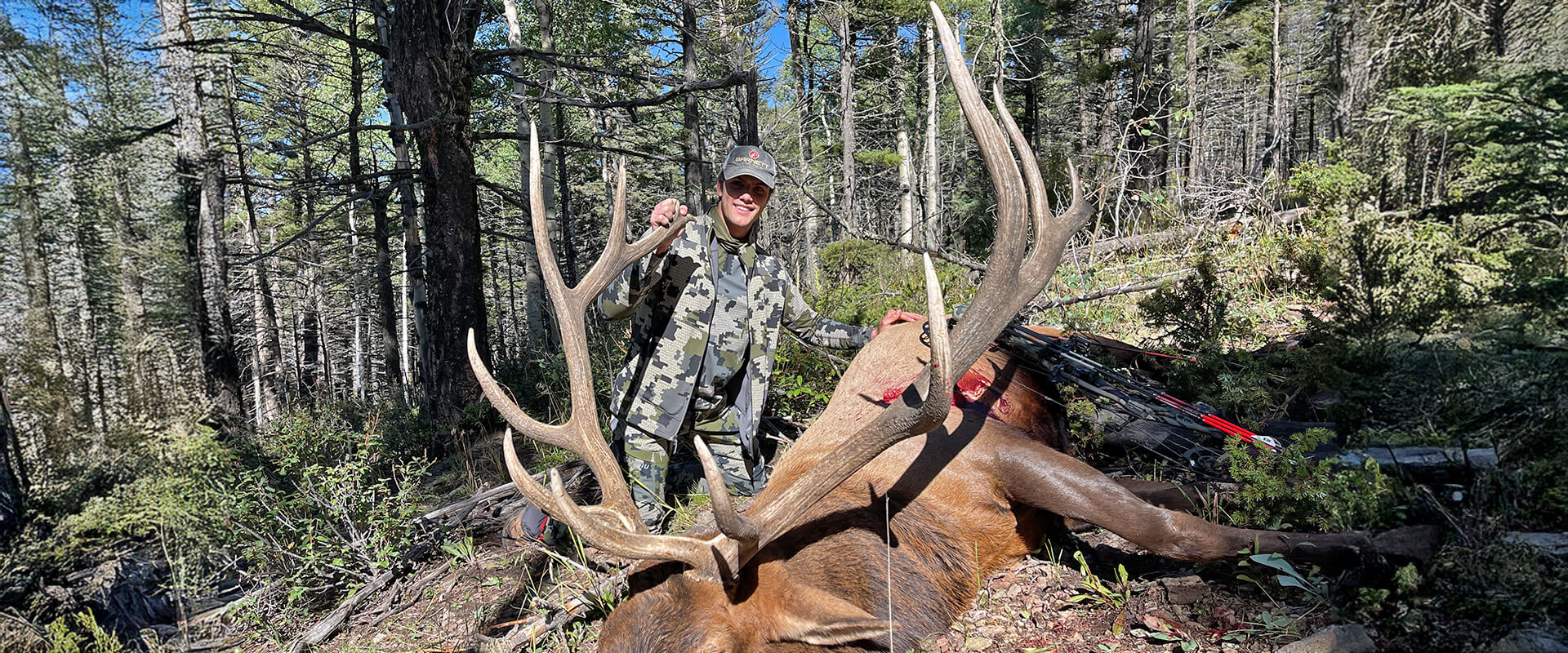 New Mexico Guided Archery Elk Hunts