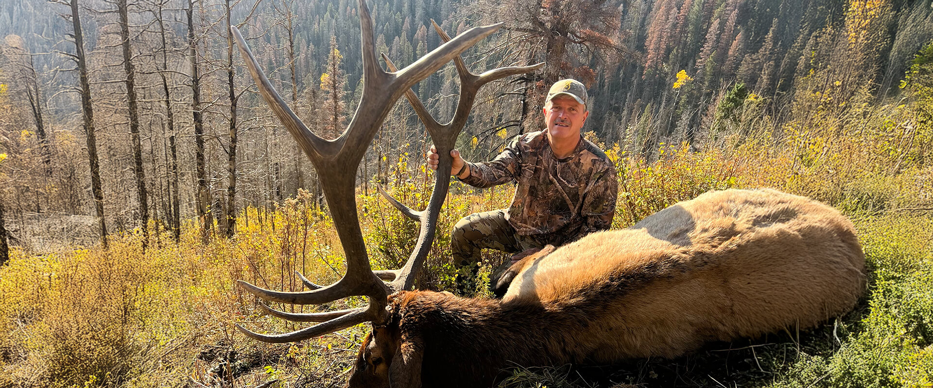 New Mexico Guided Muzzleloader Elk Hunting