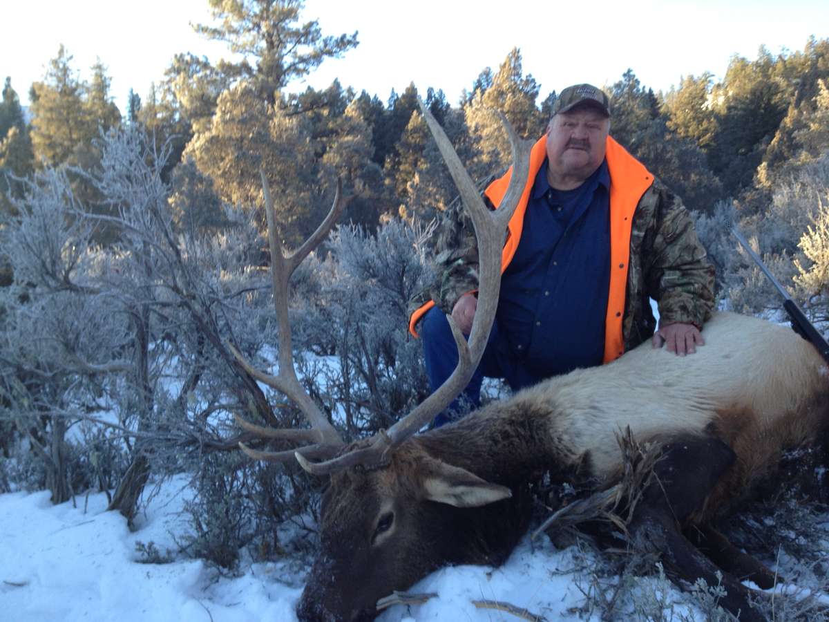 Page 2/7 - Elk Hunting Photo Gallery - H&A Outfitters