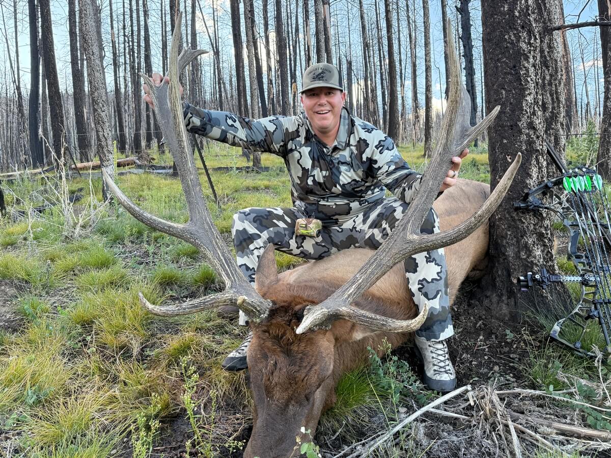 How to Secure Your Elk Hunt