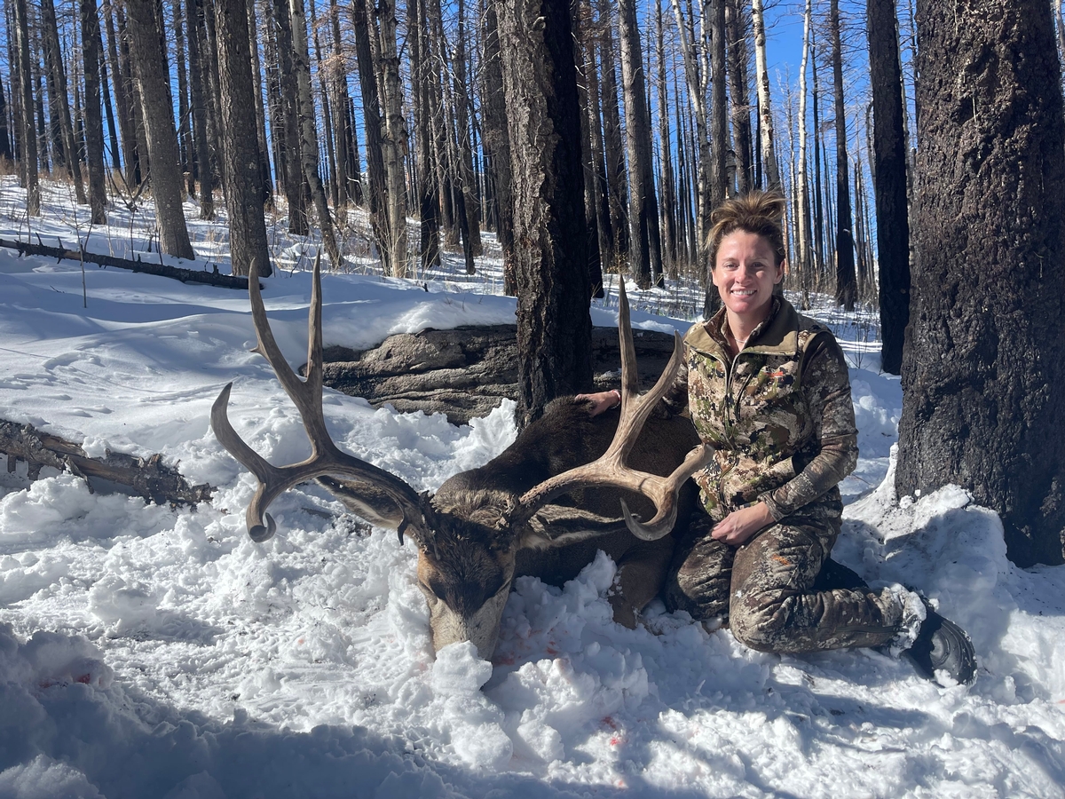 Mule Deer Hunts Photo