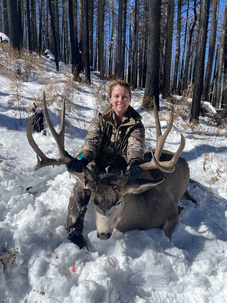 Mule Deer Hunts Photo