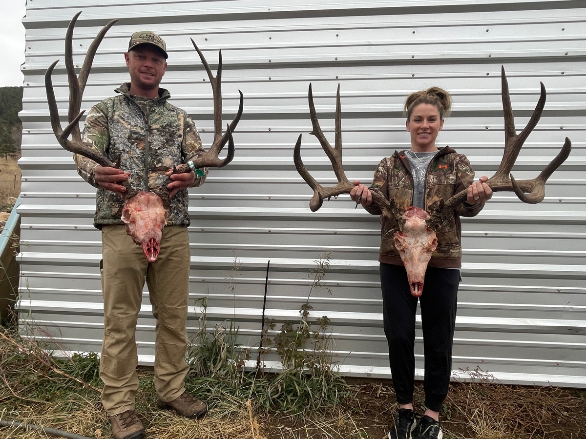 Mule Deer Hunts Photo