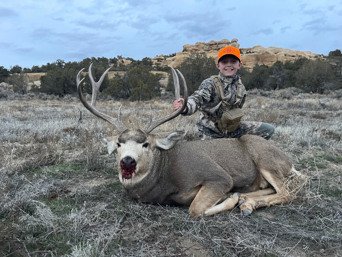 Mule Deer Hunts Photo