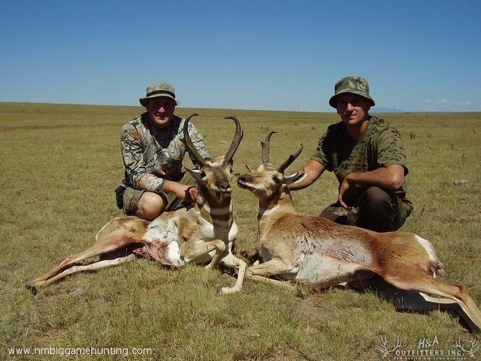 Pronghorn Hunts Photo