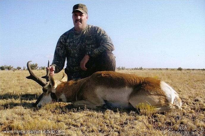 Pronghorn Hunts Photo