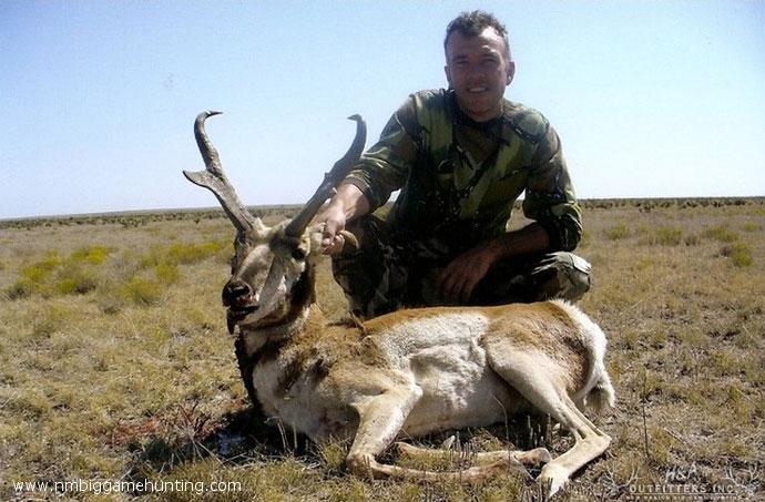 Pronghorn Hunts Photo