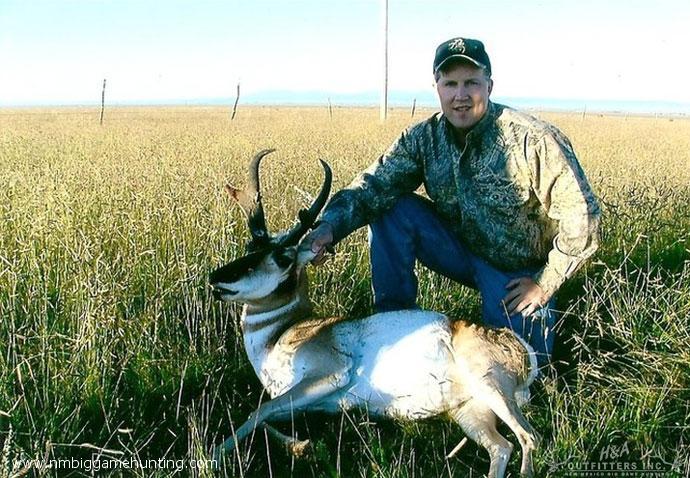 Pronghorn Hunts Photo