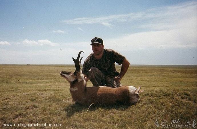 Pronghorn Hunts Photo