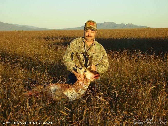 Pronghorn Hunts Photo