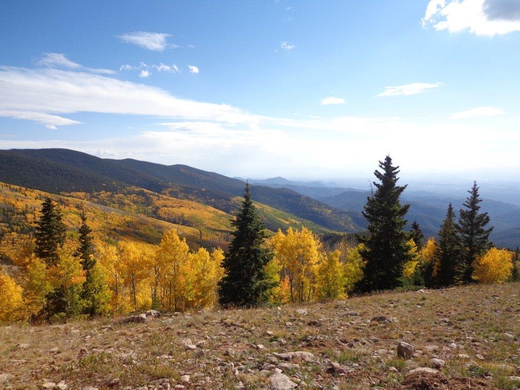 Santa Fe National Forest Elk Hunts - Unit 5B, 6A, 6C New Mexico