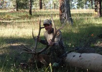 <p>H & A Outfitters, Inc. 2011 Hunting Photos. Elk, mule deer, mountain lion</p>