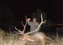 <p>H&A Outfitters, Inc. 2011 Hunting Photos. Elk, mule deer, mountain lion</p>