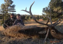 <p>H&A Outfitters, Inc. 2011 Hunting Photos. Elk, mule deer, mountain lion</p>