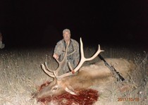 <p>H&A Outfitters, Inc. 2011 Hunting Photos. Elk, mule deer, mountain lion</p>