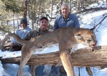 H&A Outfitters, Inc. 2011 Hunting Photos.  Elk, mule deer, mountain lion