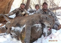 <p>H & A Outfitters, Inc. 2011 Hunting Photos. Elk, mule deer, mountain lion</p>