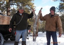 <p>H&A Outfitters, Inc. 2011 Hunting Photos. Elk, mule deer, mountain lion</p>