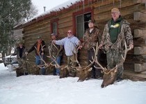 Elk Hunts