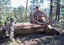 Elk Hunts