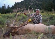 Elk Hunts