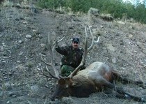 Elk Hunts