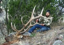 Elk Hunts