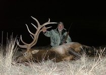 Elk Hunts