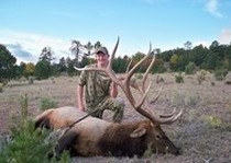 Elk Hunts