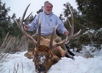 Elk Hunts