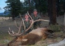 Elk Hunts