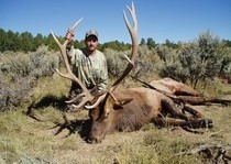 Elk Hunts