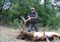 Elk Hunts