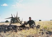 Elk Hunts