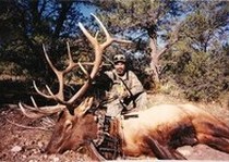 Elk Hunts