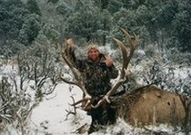 Elk Hunts