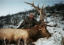 Elk Hunts