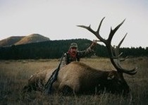 Elk Hunts