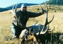 Elk Hunts