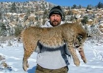 Mountain Lion Hunts