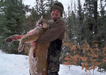 Mountain Lion Hunts