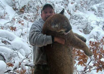 Mountain Lion Hunts