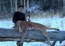 Mountain Lion Hunts