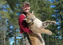 Mountain Lion Hunts