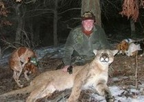 Mountain Lion Hunts