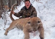 Mountain Lion Hunts