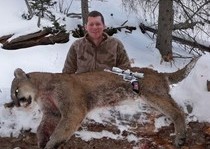 Mountain Lion Hunts