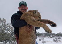 Mountain Lion Hunts