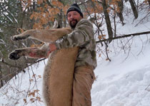 Mountain Lion Hunts