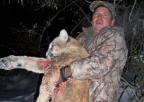 Mountain Lion Hunts